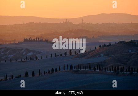 Crete at sunrise, view of Siena, Tuscany, Italy, Europe