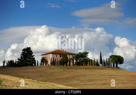 Homestead on a hill, Tuscany, Italy, Europe Stock Photo