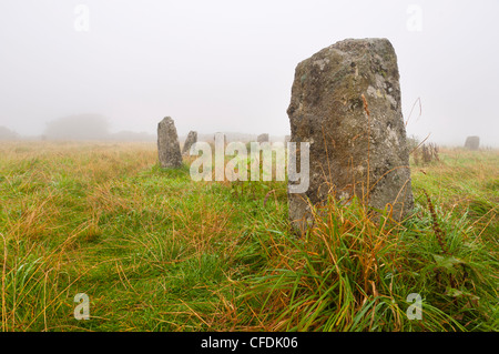 Merry Maidens stone circle, Cornwall, England, United Kingdom, Europe Stock Photo