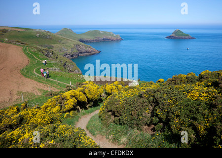 Walkers on coastpath with views of the Mouls and Rumps Point, Pentire Headland, Polzeath, North Cornwall, England, UK Stock Photo