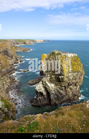 Pembrokeshire Coast National Park, Wales, United Kingdom Stock Photo ...