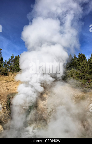 Dragon's mouth spring in central Yellowstone NP Stock Photo