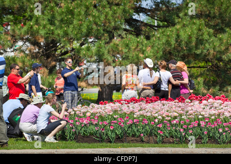 Small crowd of people photographing a tulip bed during the Ottawa Tulip Festival in May 2011, Ottawa, Ontario, Canada Stock Photo