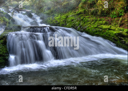 Cowichan River, Marie Canyon, Vancouver Island, British Columbia ...