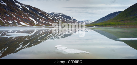 Ice floes on lake Kapervanet, Kaperdalen, Erstfjord, Senja island, Troms, Norway Stock Photo