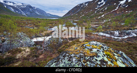 Mountain landscape with sparse vegetation at Kaperdalen, Erstfjord, Senja island, Troms, Norway Stock Photo