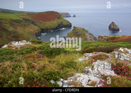 A view of the Cornish coastline at Boscastle showing the entrance to Boscastle Harbour, Cornwall, England, United Kingdom Stock Photo