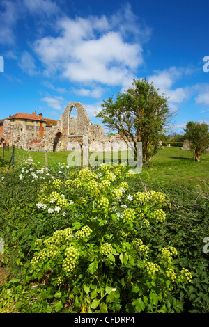 A view of Leiston Abbey, Suffolk, England, United Kingdom, Europe Stock Photo