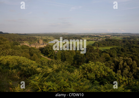 Castle in woodland seen from Capel Mair, Margam Country Park, Port Talbot, West Glamorgan, Wales, United Kingdom, Europe Stock Photo