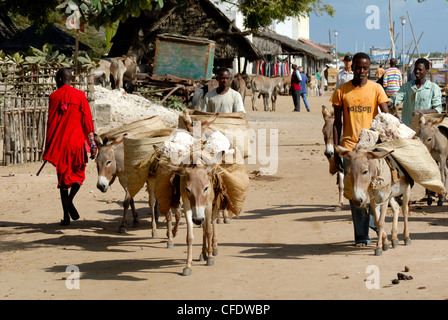 Donkey transport, Old Town, UNESCO World Heritage Site, Lamu island, Kenya, East Africa, Africa Stock Photo