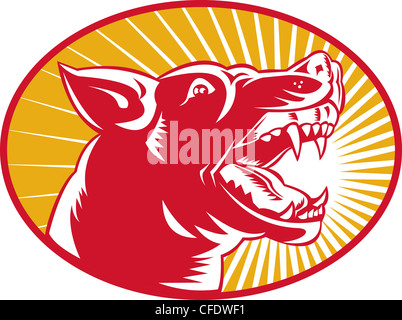 illustration of an angry wild dog wolf growling woodcut set inside oval with sunburst in background Stock Photo