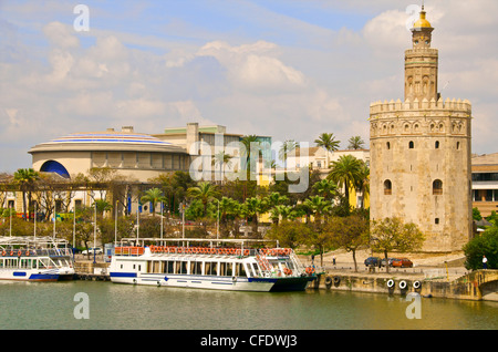 Tourist cruise boat on Guadalquivir river, in front of Theatro de la Maestranza, and Torre del Oro, Sevilla, Andalucia, Spain Stock Photo