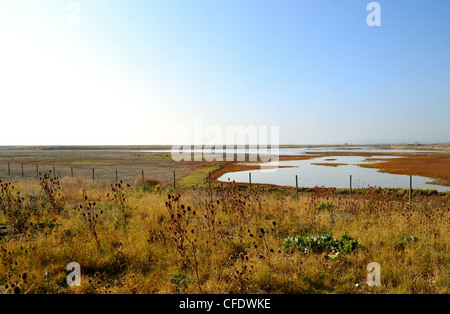 Rye Harbour Stock Photo