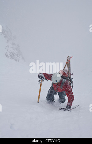 A middle aged man bootpacks up the famous Aemmer coulior on Mt Temple, Lake Louise, Banff National Park, Alberta, Canada Stock Photo