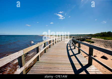 Irving Eco-Centre: La dune de Bouctouche, Acadian Coast, New Brunswick, Canada Stock Photo