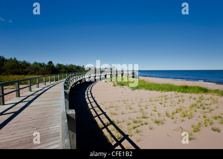 Irving Eco-Centre: La dune de Bouctouche, Acadian Coast, New Brunswick, Canada Stock Photo