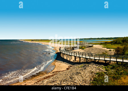 Irving Eco-Centre: La dune de Bouctouche, Acadian Coast, New Brunswick, Canada Stock Photo