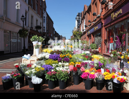 Flower stall; Grafton Street  Dublin, Ireland Stock Photo