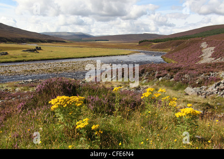 Area of Braemar, Scotland. View of the River Dee looking west from the Linn of Dee bridge area. Stock Photo