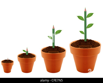 Green Plant growing in four levels in clay garding pot. Stock Photo