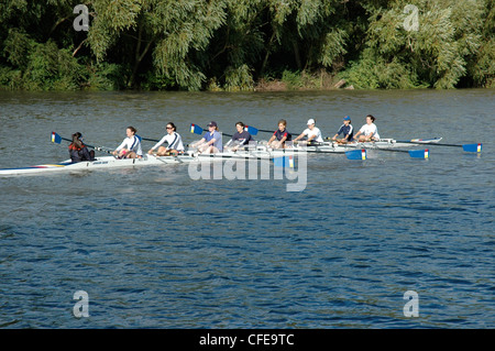 Female rowing eight on River Thames, London, England, UK Stock Photo