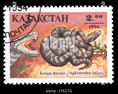 Postage stamp from Kazakhstan depicting Siberian pit viper (Agkistrodon halys) Stock Photo