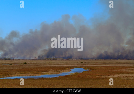Prescribed burn on marshland of Aransas National Wildlife Refuge, Texas. Stock Photo