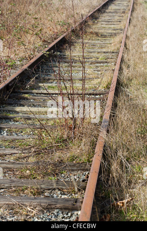 Abandoned Railroad Track close up Stock Photo