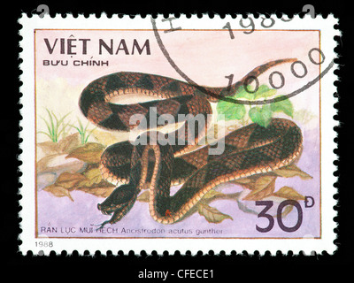 Postage stamp from Vietnam depicting sharp-nosed viper (Ancistrodon acutus) Stock Photo