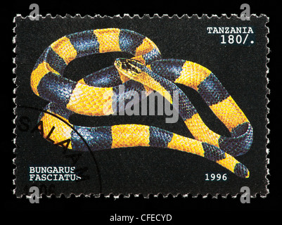 Postage stamp from Tanzania depicting banded krait (Bungarus fasciatus) Stock Photo