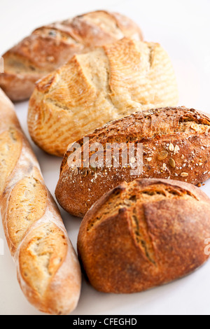 Assorted kinds of fresh baked bread in a row Stock Photo