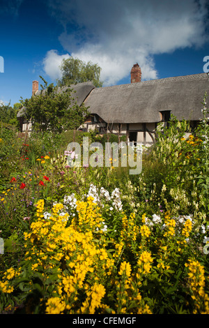 Warwickshire, Stratford on Avon, Shottery, Anne Hathaway’s cottage, floral garden in sunshine Stock Photo