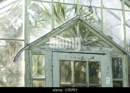 Berkshire Botanical Garden in Stockbridge, Massachusetts displays plants inside a greenhouse. Stock Photo