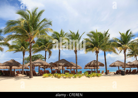 Beach, Chankanaab National Park, Cozumel Island, Isla de Cozumel, Quintana Roo, Mexico, Caribbean Stock Photo