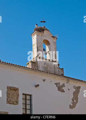Details of the old 'Hospital de la Concepción' building with stork in nest Stock Photo
