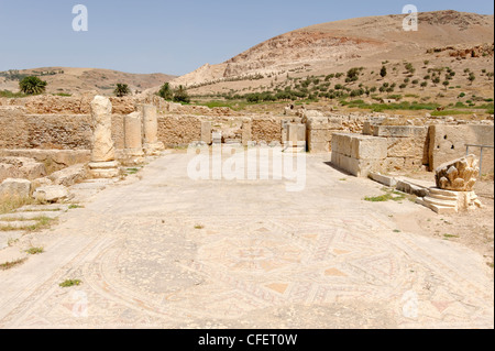 The mosaic paved ruins of a once grand Roman enclosure that consisted of water channels surrounding a central garden. Stock Photo