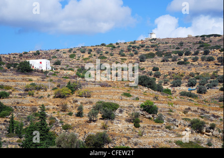Terraced hill near Lefkes, on the Greek Cyclade  island of Paros. Stock Photo