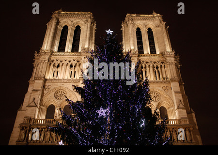 Christmas tree outside Notre-Dame de Paris cathedral, Paris, France, Europe Stock Photo