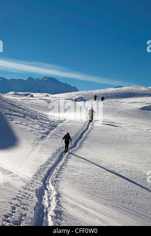 Ski touring, ski mountaineering in the Dolomites, Piz Boe, eastern Alps, Bolzano, South Tyrol, Italy, Europe Stock Photo