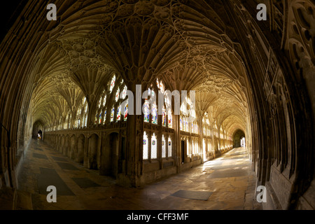 14th century fan vaulting in the Great Cloisters, Gloucester Cathedral, Gloucester, Gloucestershire, England, United Kingdom Stock Photo