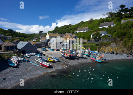 Fishing boats on the beach at Cadgwith, Lizard Peninsula, Cornwall, England, United Kingdom, Europe Stock Photo