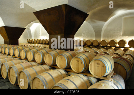 Barrels at a winery, Ansitz Loewengang, Margreid an der Weinstrasse, South Tyrol, Italy, Europe Stock Photo