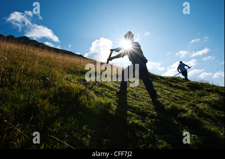 People at hay harvest, Val d'Ega, Alto Adige, South Tyrol, Italy, Europe Stock Photo