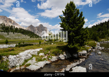Fanes alp, Gader Valley, Nature Reserve Park Fanes Sennes Prags, Alto Adige, South Tyrol, Italy