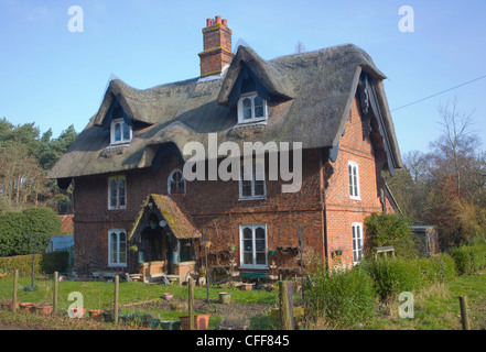 Thatched country cottage in woods near Orford, Suffolk, England Stock Photo