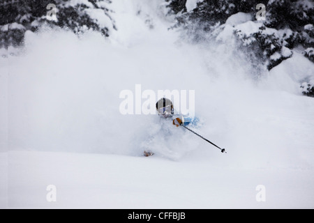 A athletic skier rips fresh deep powder turns in the backcountry on a stormy day in Colorado. Stock Photo