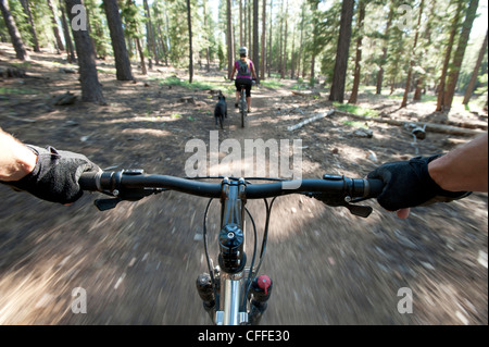 Mountain biking on a single track mountain path. Stock Photo