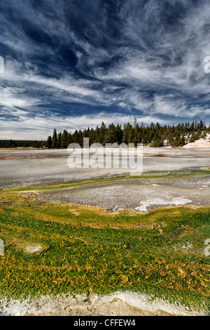 Whirlygig geyser in Yellowstone National Park Stock Photo