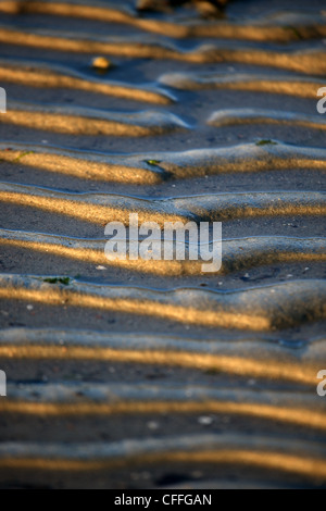 Low winter light on abstract sand patterns Stock Photo