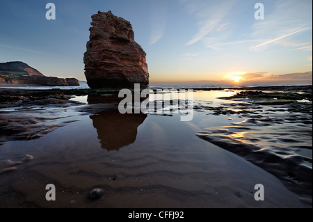 One of the sandstone stacks at Ladram Bay at sunrise. Ladram Bay, East Devon, UK. Stock Photo